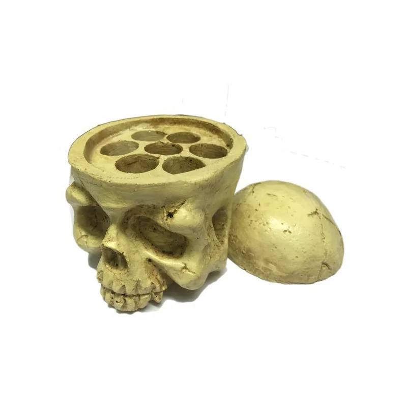 Caps of pigments holder (Skull)